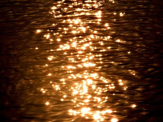 DSCN5433.JPG