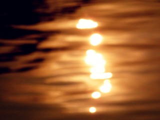 DSCN5488.JPG