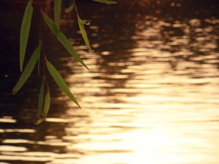 DSCN5504.JPG