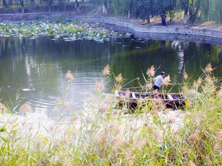 DSCN5386.JPG