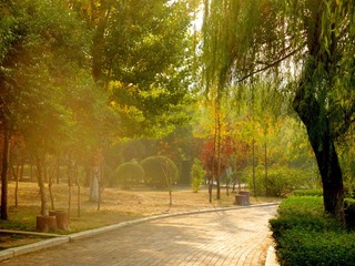 DSCN5407.JPG