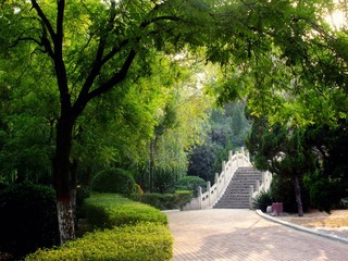 DSCN5417.JPG