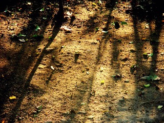DSCN5419.JPG