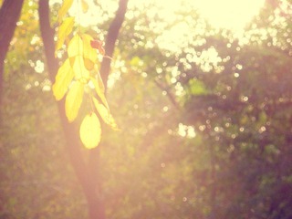 DSCN5425.JPG