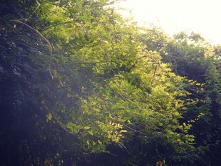 DSCN5451.JPG