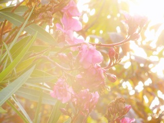 DSCN5459.JPG