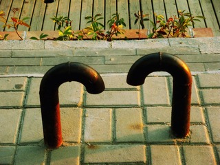DSCN5577.JPG