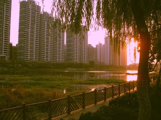 DSCN5572.JPG