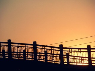 DSCN5584.JPG