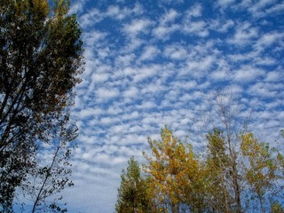 DSCN5689.JPG