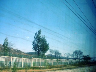 DSCN5650.JPG