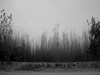 DSCN5917.JPG