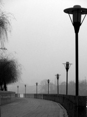 DSCN6411.JPG