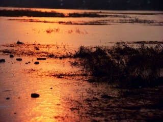 DSCN6415.JPG