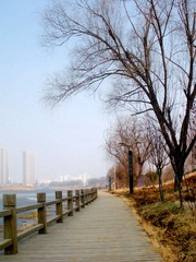 DSCN6486.JPG