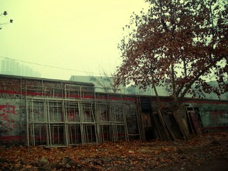 DSCN6822.JPG