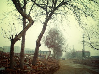 DSCN6812.JPG