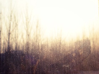 DSCN6506.JPG