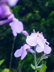 DSCN7436.JPG