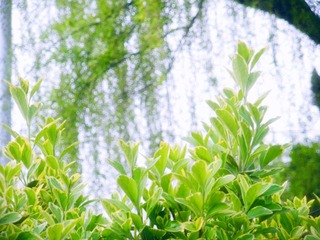 DSCN7415.JPG