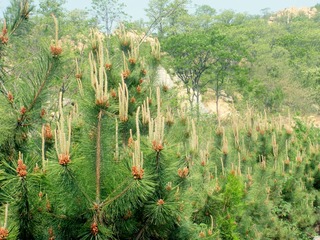 DSCN7601.JPG