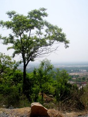 DSCN7667.JPG