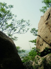 DSCN7692.JPG