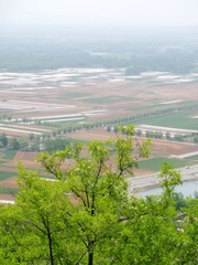 DSCN7700.JPG