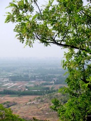 DSCN7719.JPG