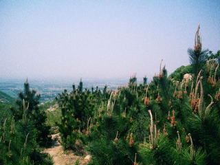 DSCN7733.JPG