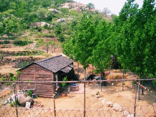 DSCN7810.JPG