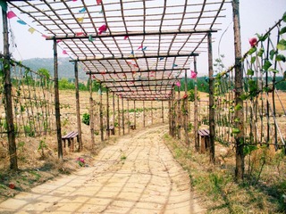 DSCN7863.JPG
