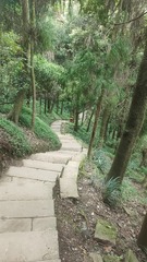 1000006334