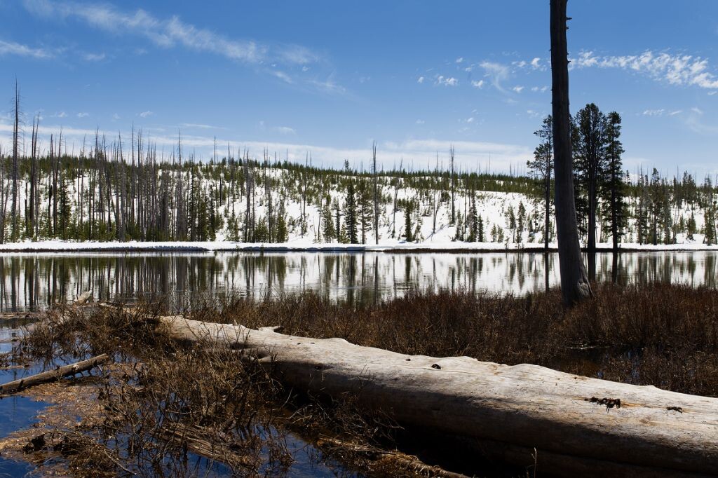 <a href="https://tuchong.com/20293/" target="_blank">@Yellow</a> Stone National Park