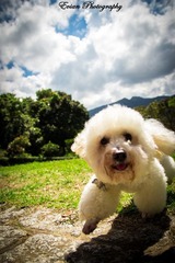 20120707-IMG_1689  ps.jpg
