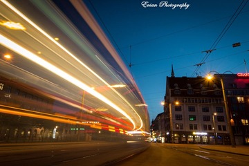 IMG_2560.jpg