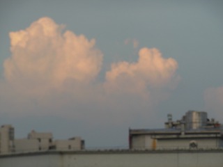 98067