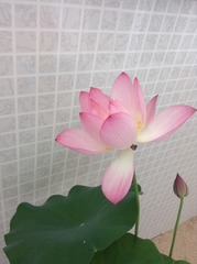 712C18C4-4F71-4698-866D-93C315F23FB4/L0/001
