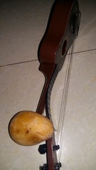52029