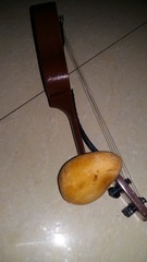52026