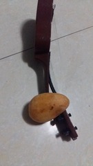 52023