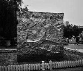 LFL05634