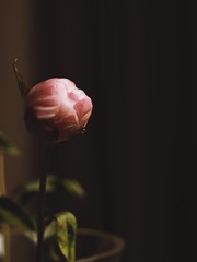 5F16988D-8D39-4754-9B01-0254BC06BE43/L0/001