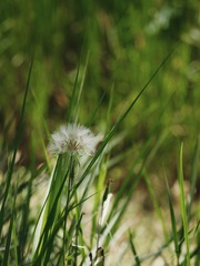 326D042C-5DE5-4D4B-AE1C-A797904389D7/L0/001