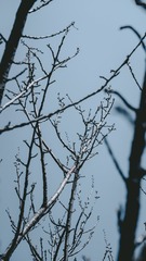 139BF786-0022-4F18-B183-2C11D9D05328/L0/001
