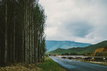 _IMG9085