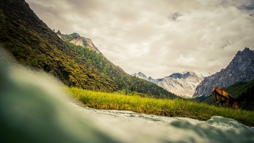 _IMG8545