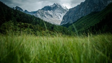 _IMG8569