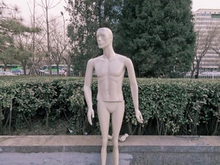 SAM_8067.JPG