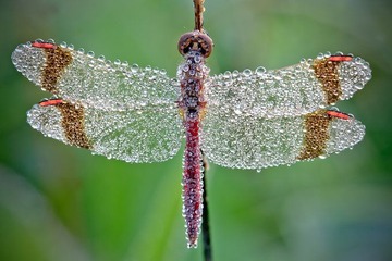 13 (10).jpg